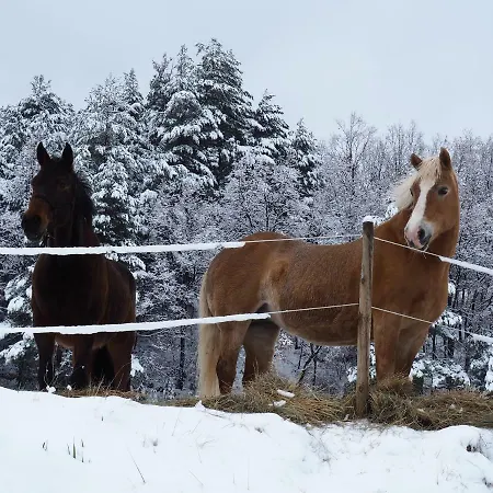 Cal Ponc De Belians * Vallcebre
